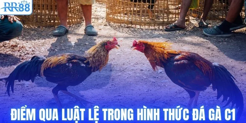 Điểm qua luật lệ trong hình thức đá gà C1